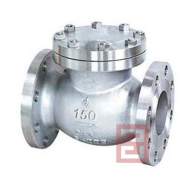 check valve CS with flange